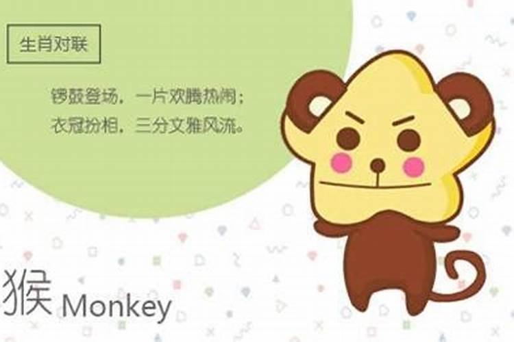 男属猴与女属猪合婚好吗？