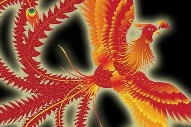 成功人士最多的属相女？