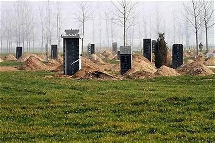 什么样的坟地能出官？
