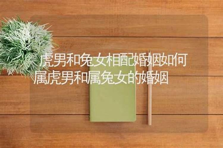 男兔女虎的婚姻吉日