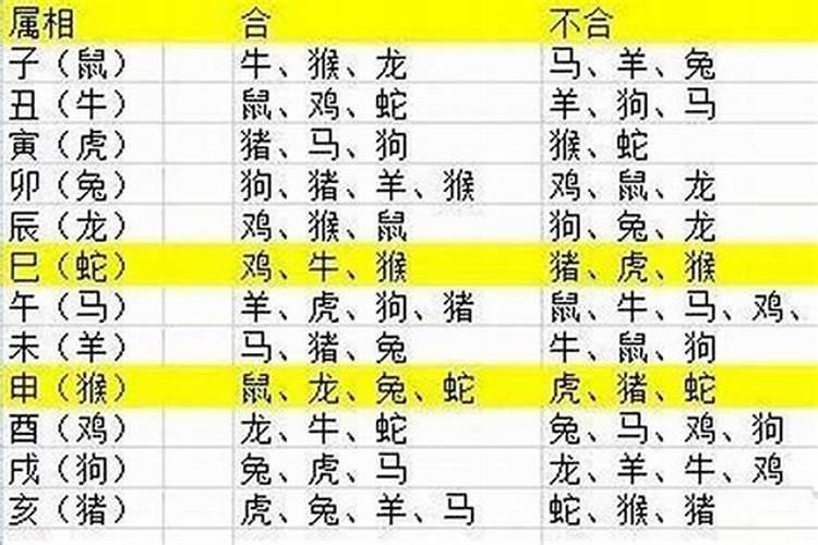 什么属相宝宝出生率高些？