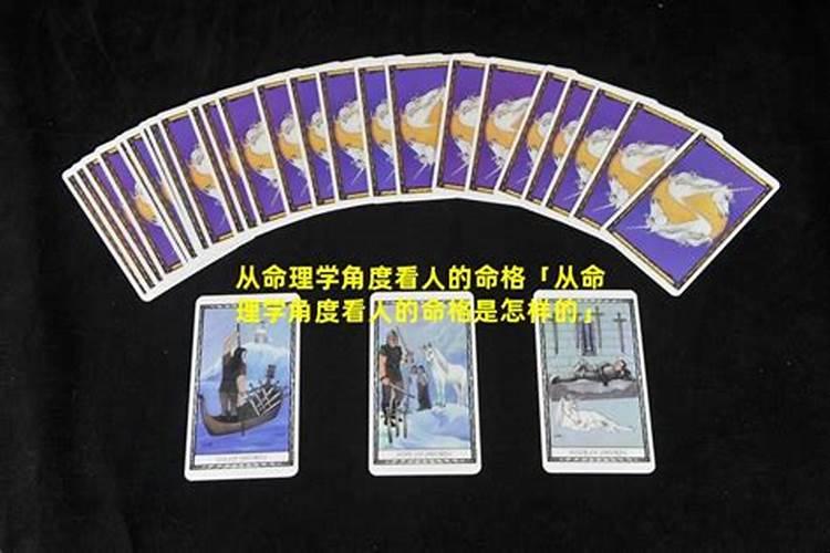 蚂蚁进宅，预兆何在？——从命理学角度探究家中蚂蚁的征兆