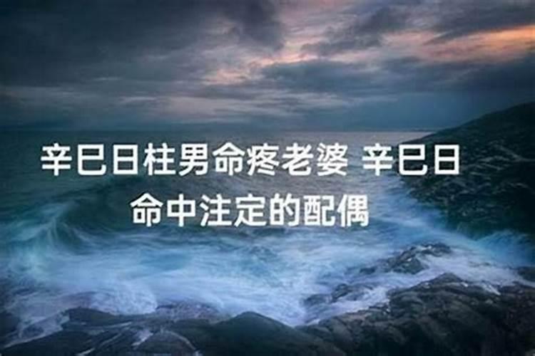 辛丑日柱与己亥日柱合婚的八字命理分析