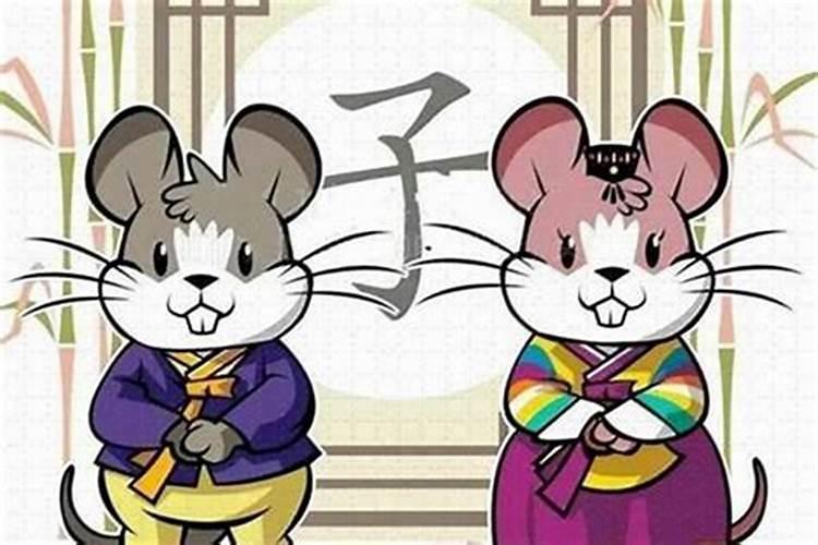 属鼠和属猪的结婚合婚吗？