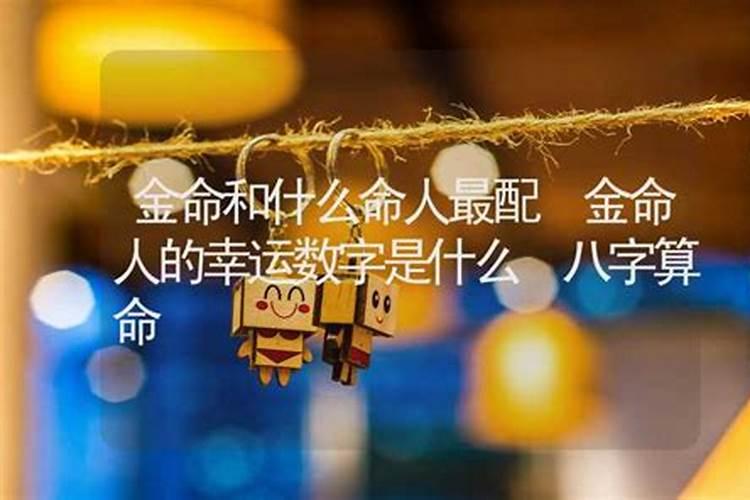 金命和什么命配？