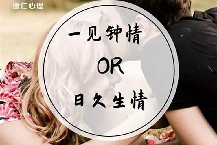 属狗人的宿命之爱：寻找命中注定的伴侣