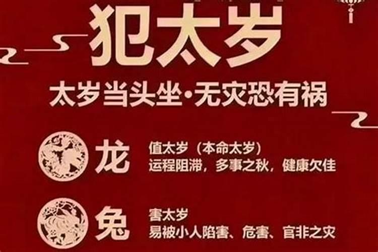 属蛇的啥时犯太岁：揭秘八字命理中的太岁影响与应对策略？