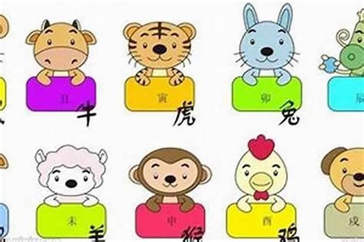 十二生肖的宝宝哪个生肖最好？