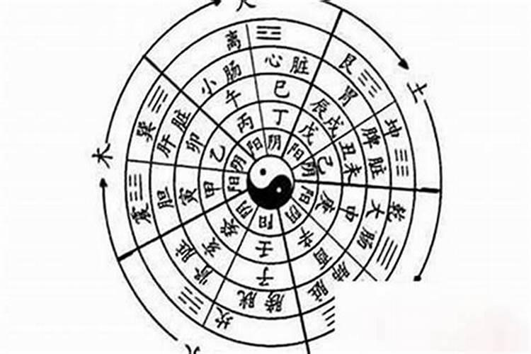 命理学视角下的大海水命：源流与影响