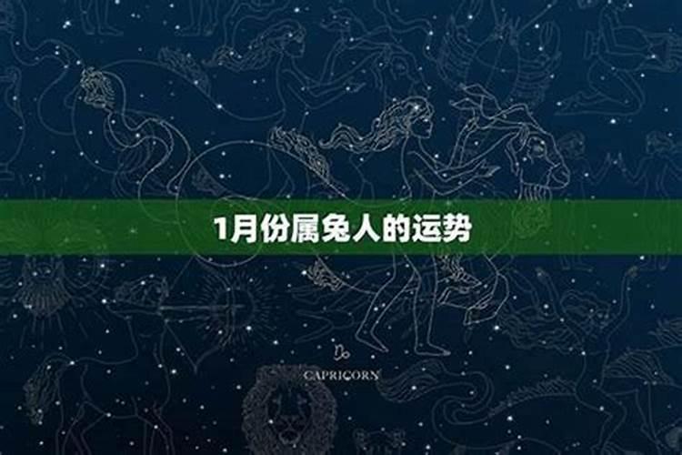 属兔人五月运势详解：迎接挑战，把握机遇