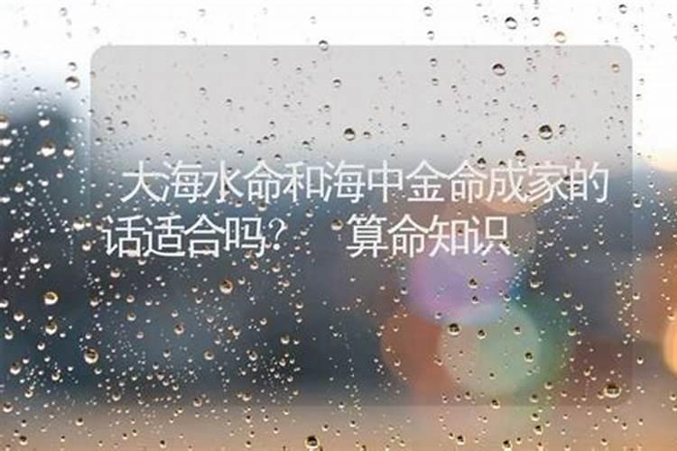 海中金与大海水：八字合璧的神奇缘分