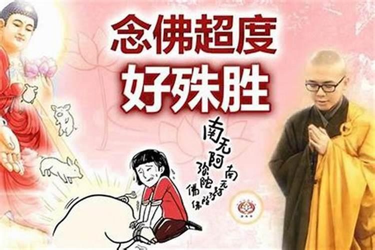 自己怎么念佛号超度婴灵？