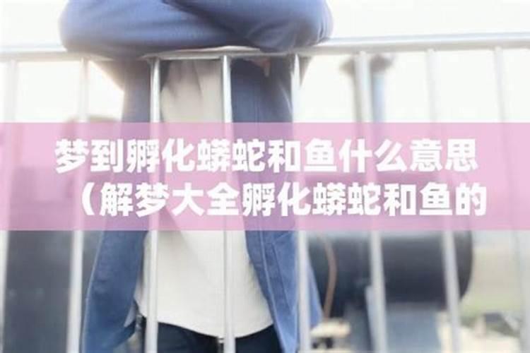 梦到蟒蛇和鱼是什么意思？