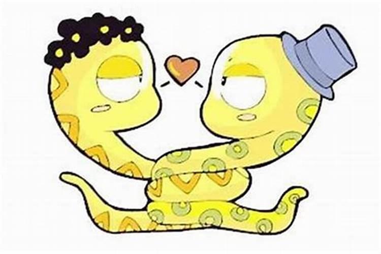 属蛇的婚姻配对最佳的是什么？