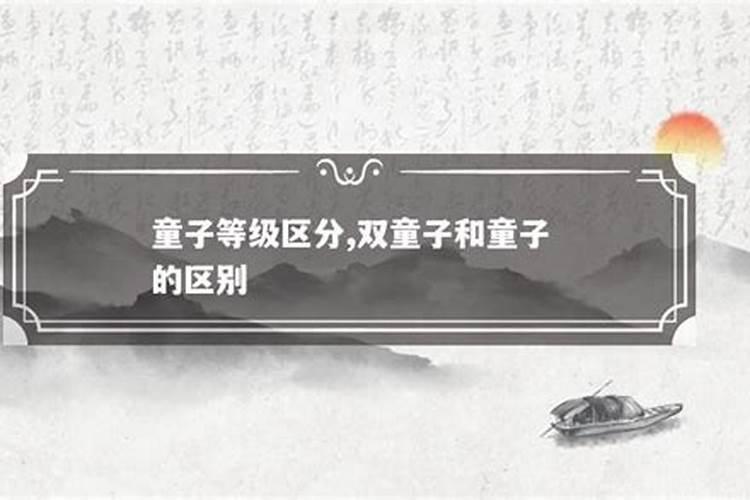双童子是什么等级？