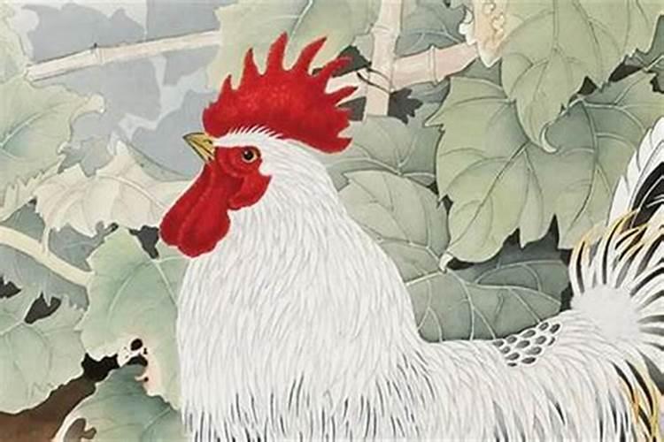 1993年属鸡人的感情世界：传统与现代的交织