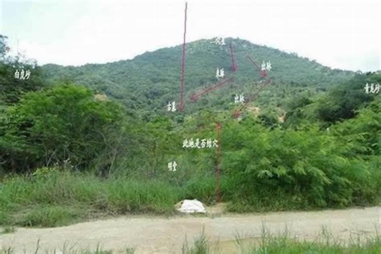 农村风水宝地：打造最佳居住环境