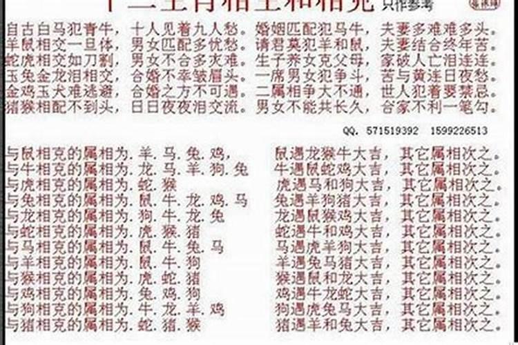 狗与龙属相婚配怎样？