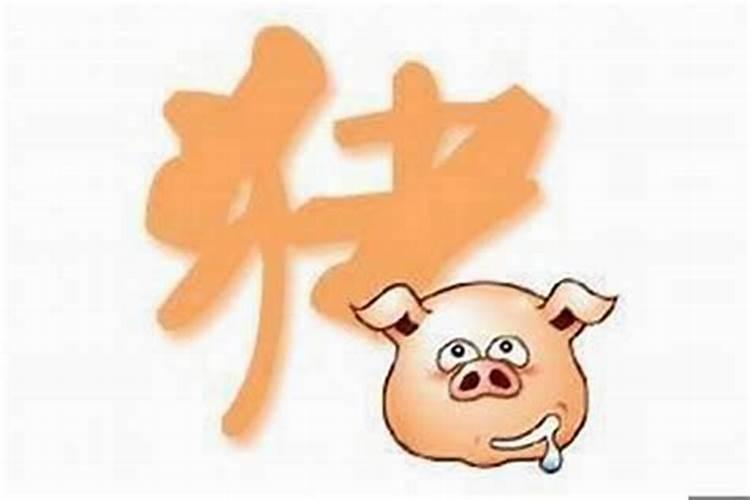 小人属什么生肖动物？