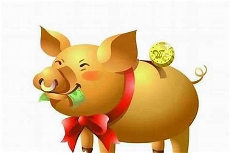 属猪跟什么属相最好？