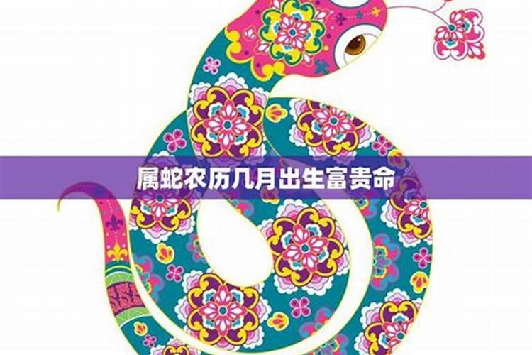 揭秘生肖配对：属蛇人的财富增长秘籍