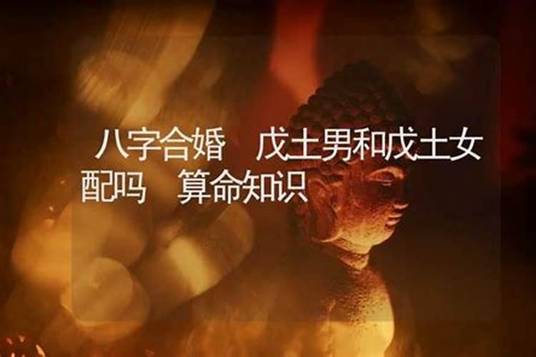 男水蛇女土猴合婚吗：八字命理揭秘？
