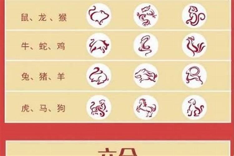 揭秘生肖三合：属蛇的神秘伙伴