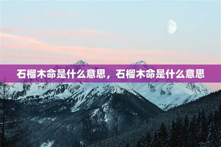 木命什么意思？