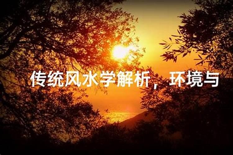 东流之水与工厂风水：探索和谐共生之道
