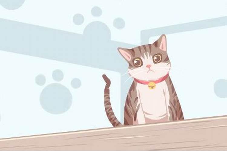 梦境解读：梦见很多猫爬我身上的含义？