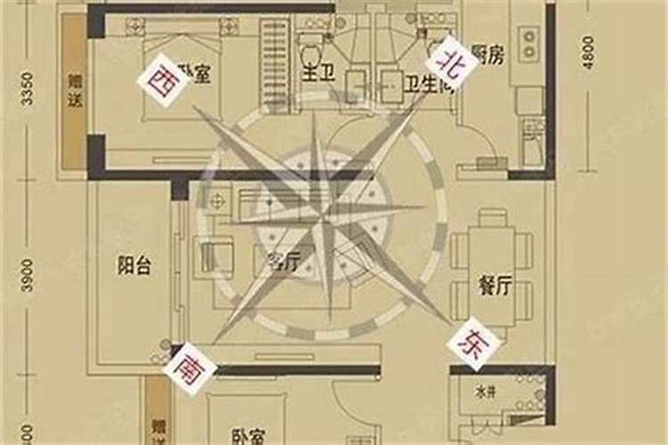 坐西向东房子风水好吗？揭秘传统风水学的现代解读