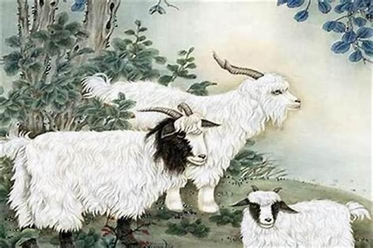 三月的猴与九月的羊合婚吗？