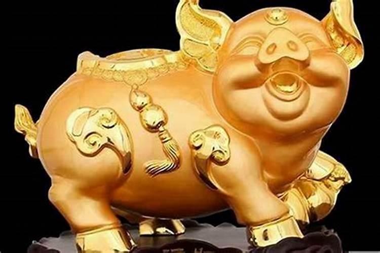 属猪的和属什么的不合婚？