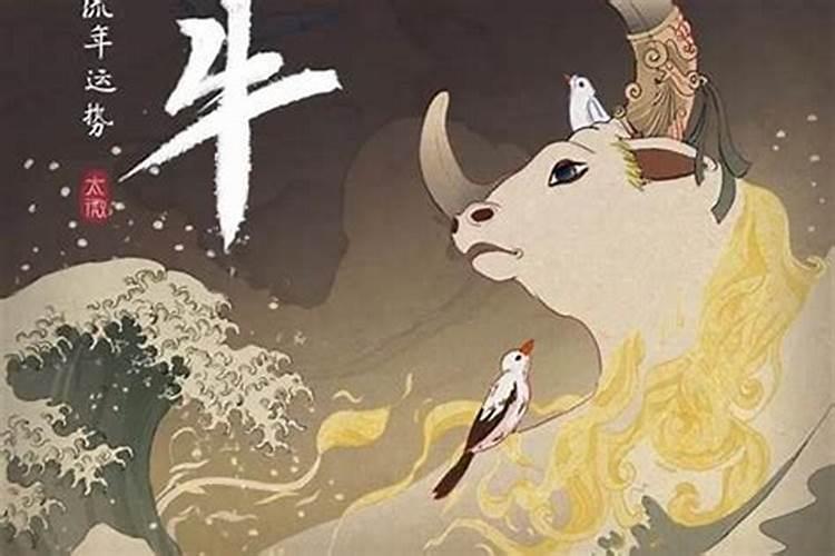 属牛的如何提升财运？