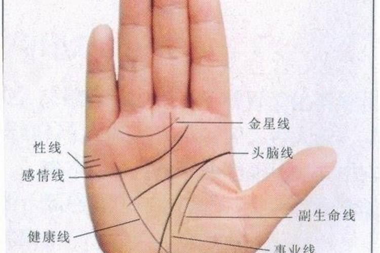 命运线怎么看？