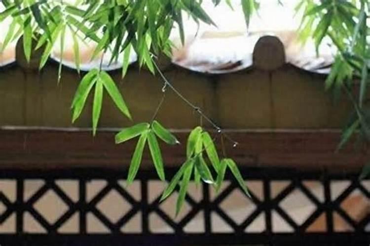 逆境中的转运秘诀：命理学视角下的霉运化解之道