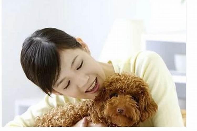 什么属相不适宜养狗养猫？