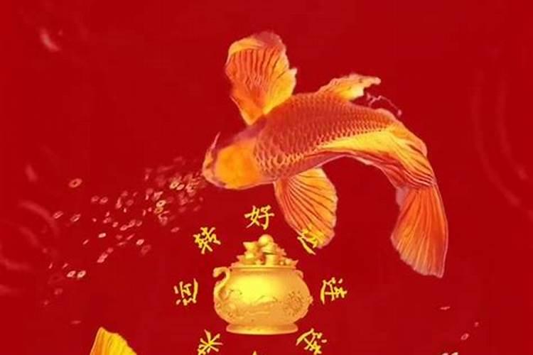 2025年属马人转运月：时来运转，好运连连