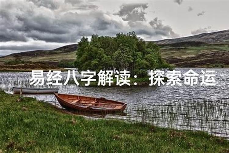 八字的秘密：探索命运的奥秘