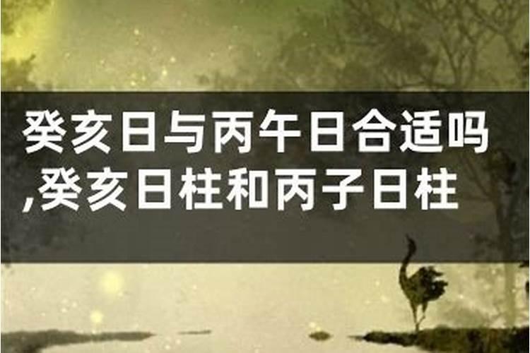 丙午日丙子日能合婚吗？八字命理揭秘