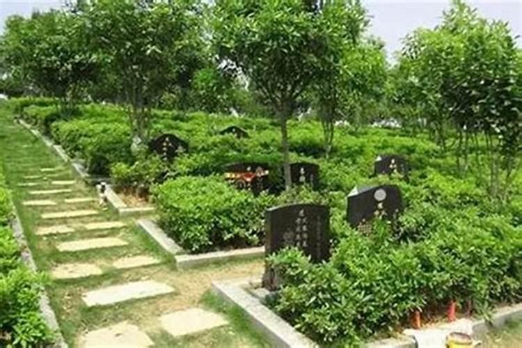 墓地朝向哪个方位比较好？