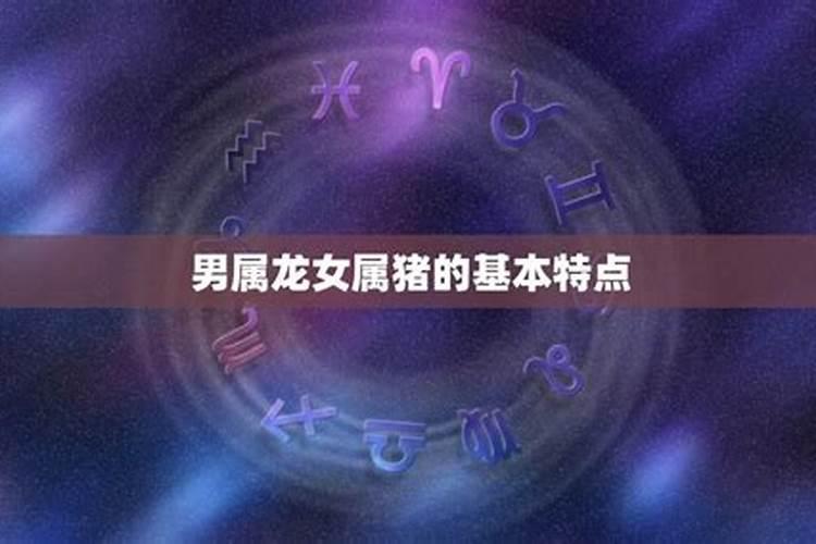 龙猪联姻：属龙女与属猪男的婚姻缘分解析