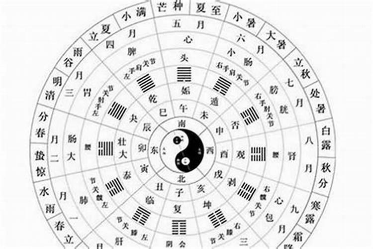 穿越时空的命理密码：1962年出生者的五行人生