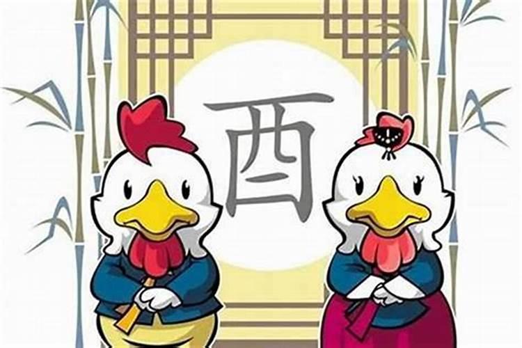 鸡兔属相能婚配吗：八字命理解析？
