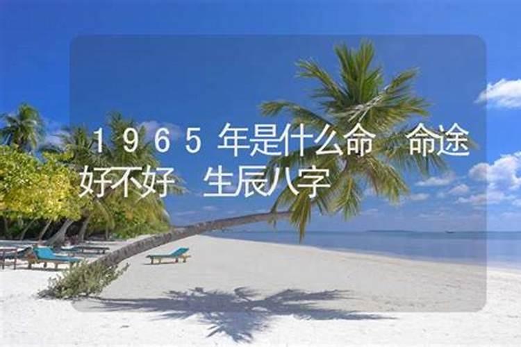 1965年是什么命年？