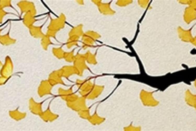 童子命但不知道第几类？