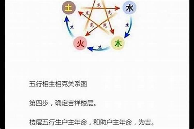 风水与属相：9楼的神秘力量