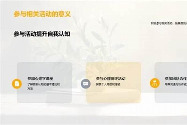本命年：自我探索与成长的一年