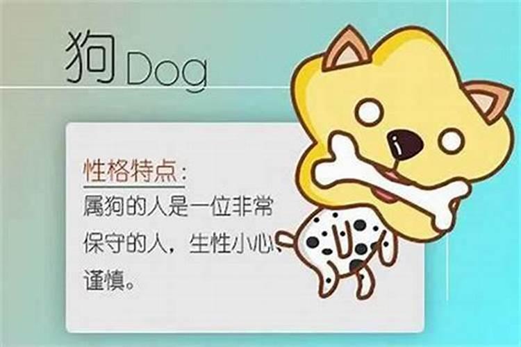 属狗和属猴的八字合吗？
