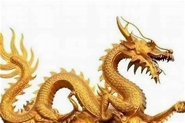 数龙和数虎合婚吗？
